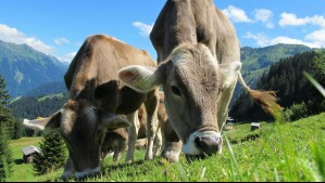 El importante desafío de reducir las emisiones contaminantes en la producción agrícola El importante desafío de reducir las emisiones contaminantes en la producción agrícola