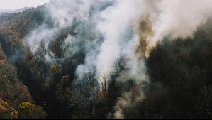 Incendios en verano: ¿Cómo afrontar la temporada de emergencias? Incendios en verano: ¿Cómo afrontar la temporada de emergencias?