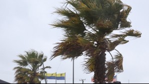 Tardes de viento en Biobío: Todas estas localidades disfrutarán de días soleados