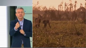 'La intensificación de los fenómenos meteorológicos': Jaime Leyton explica los efectos del año más cálido de la historia