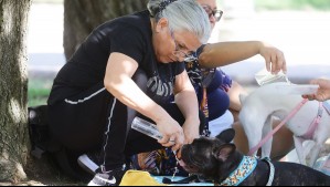 'Sube drásticamente la temperatura': Jaime Leyton pide prepararse para días calurosos en Santiago