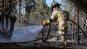 Conaf emite restricción en Biobío para evitar incendios forestales ante evento de altas temperaturas