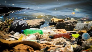 Islas de basura: Cómo combatir un perjudicial fenómeno que sigue creciendo Islas de basura: Cómo combatir un perjudicial fenómeno que sigue creciendo