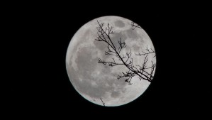 Este día llegará la primera Luna Llena del año: ¿Por qué se llama Luna del Lobo?