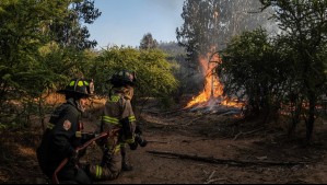 Por calor extremo decretan alerta por riesgo de incendios forestales en la Región Metropolitana