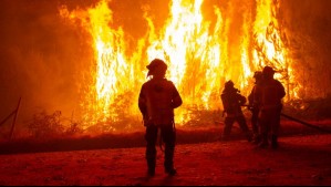 Amenaza por incendios forestales en Valparaíso activa alerta temprana del Senapred: Estas son las comunas con riesgo