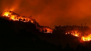 Vientos en Cobquecura toda la semana: Decretan alerta en Ñuble por amenaza de incendios debido a altas temperaturas