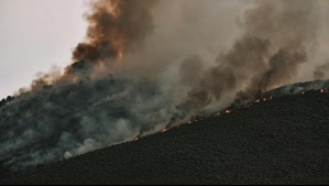 Cell2Fire: Conoce cómo la tecnología busca prevenir los incendios forestales Cell2Fire: Conoce cómo la tecnología busca prevenir los incendios forestales