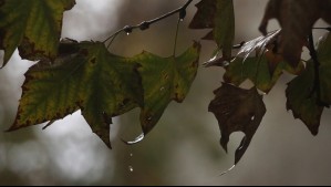 Precipitaciones débiles para 7 regiones del país: Este es el pronóstico de lluvias para este lunes 23 de diciembre