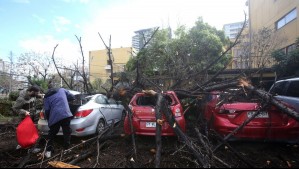 Ciclón extropical, tromba marina y marejadas anormales: Los eventos meteorológicos más impactantes de Chile en 2024