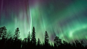 'Estamos viviendo el peak de la actividad solar': Auroras boreales maravillan al mundo al inicio del 2025