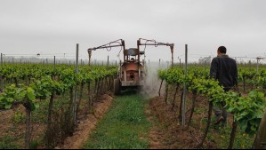 Pewman Innovation: Conoce cómo funcionan dos productos con nanotecnología sostenible  Pewman Innovation: Conoce cómo funcionan dos productos con nanotecnología sostenible