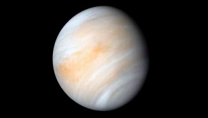 Venus entrará en su fase de máxima elongación: ¿Cuándo aparecerá la 'estrella vespertina' en los cielos?