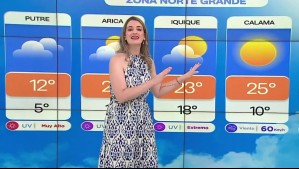 'Un sistema frontal ingresará y dejará precipitaciones': Pronóstico del tiempo para este miércoles 8 de enero