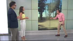 'Un diablo de polvo': Viralizan video de un torbellino en Talca