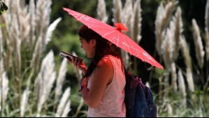 'Podrían rondar los 40°C': Estas son las comunas de Biobío en alerta por ola de calor
