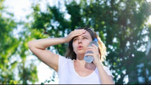 'Golpe de calor en gran parte de la zona central del país': Así de sofocante será este domingo 19 de enero