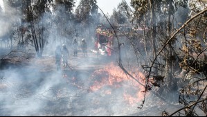 Alerta por amenaza de incendios forestales en la Región Metropolitana y Valparaíso: Senapred