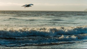 ¿Qué pasará en Chile? Estos son los efectos que tendrá La Niña en Latinoamérica en el 2025