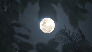 Se viene la Luna de Nieve de febrero 2025: ¿Qué día es la próxima Luna llena?