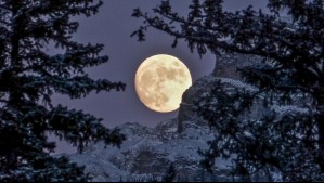 ¿Por qué es especial la Luna de Nieve? Jaime Leyton revela cuál será la mejor hora para ver la luna llena de febrero