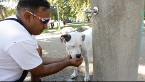 Este día se romperá el domo de calor que azota a 11 regiones con altas temperaturas: Será 'atacado' por estos factores