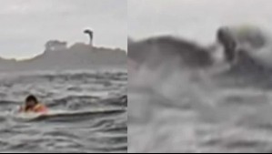 'Claramente se estaba alimentando': Este es el momento exacto cuando un joven es tragado por una ballena jorobada