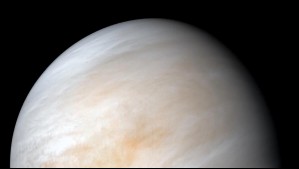 Estos son los espectáculos que el cielo nos regalará esta noche: A esta hora podremos ver a Venus en Santiago