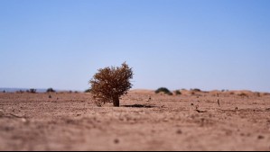 Precipitaciones por debajo de lo normal: Prestigioso centro internacional comparte pronóstico sobre esta zona de Chile