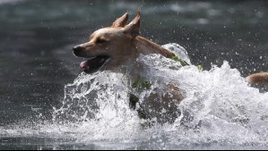 Así se concretó la primera ola de calor en Santiago: ¿Hasta cuándo durarán las altas temperaturas?