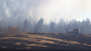 Todas estas comunas de la zona central bajo alerta roja por incendios forestales: Incluye a la Región Metropolitana