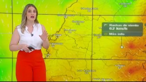 Viento de hasta 60 km/h: Nuevo fenómeno asociado al paso del sistema frontal afectará al centro sur