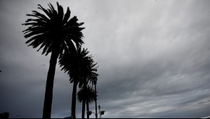 Rachas hasta 60 km/h: Viento predominará en estas localidades de Biobío durante el fin de semana
