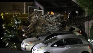 Hasta 100 km/h pronostican para esta comuna de Biobío: Jaime Leyton advierte de vientos que azotarán al centro sur