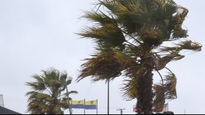 Viento de hasta 60 km/h en la Región Metropolitana durante este fin de semana: Emiten aviso para cinco regiones