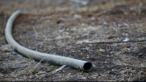 Menos de 8 mm: Esta es la cantidad de agua que podría caer durante el otoño en estas localidades de Coquimbo