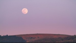 Se viene la luna rosa de abril: Esta será la mejor hora y el mejor día para disfrutarla desde Chile