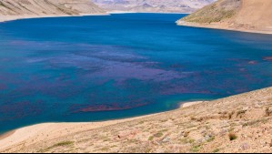 'No entremos en pánico': Geofísico explica por qué ocurren tantos sismos en el complejo volcánico Laguna del Maule