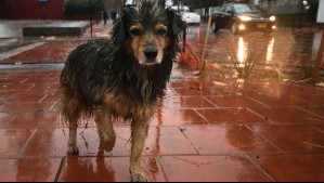 Se vienen precipitaciones a la zona central el próximo fin de semana: Esta es la probabilidad de lluvia para Santiago