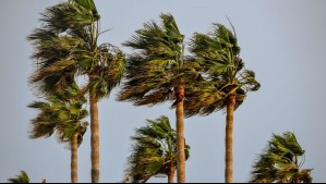 Advierten por fuertes vientos que afectarán a Antofagasta: Lluvia y tormentas eléctricas llegarán a estos sectores