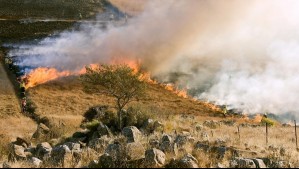 La Región Metropolitana es la tercera más amenazada por incendios forestales: CONAF presenta el mapa de riesgo