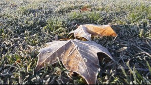 Este fenómeno concentrará las heladas en estos sectores: 'Los días más fríos pueden rondar los -10°C'