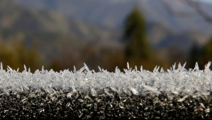 Domingo frío en estas localidades: Existe la probabilidad de heladas matinales de hasta -5°C