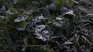 En este sector de la zona central pronostican heladas tras lluvias: 'Vamos a ver un impacto de esta masa de aire frío'