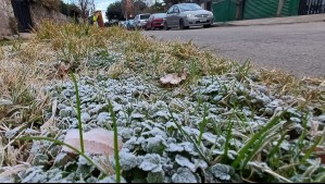 Así son las heladas negras: Alejandro Sepúlveda expone por qué es la 'más peligrosa'