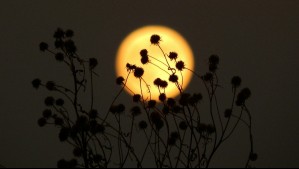 A esta hora se podrá ver la Luna de Flores: 'Estará posicionada en la constelación de Libra'
