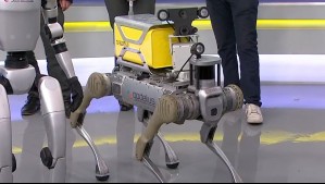 Alerta de perro robot: Tecnología hecha en Chile para la minería