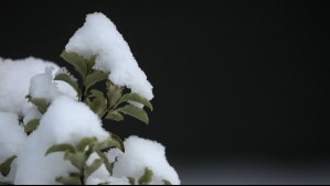 Se viene la nieve: Pronostican hasta 60 cm para estas cuatro regiones este lunes 26 de mayo