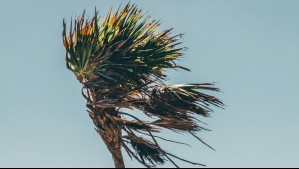 Viento de hasta 80 km/h en el Norte Chico y la zona central: Incluye a la Región Metropolitana