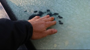 Nieblas, heladas y nada de lluvia: Así se viene la última semana de mayo en Temuco y Pucón